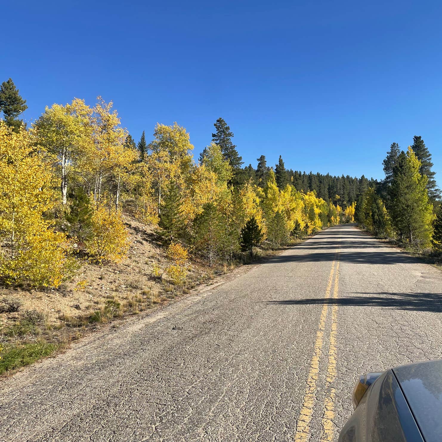 Twin Lakes View Dispersed Camping Twin Lakes, CO