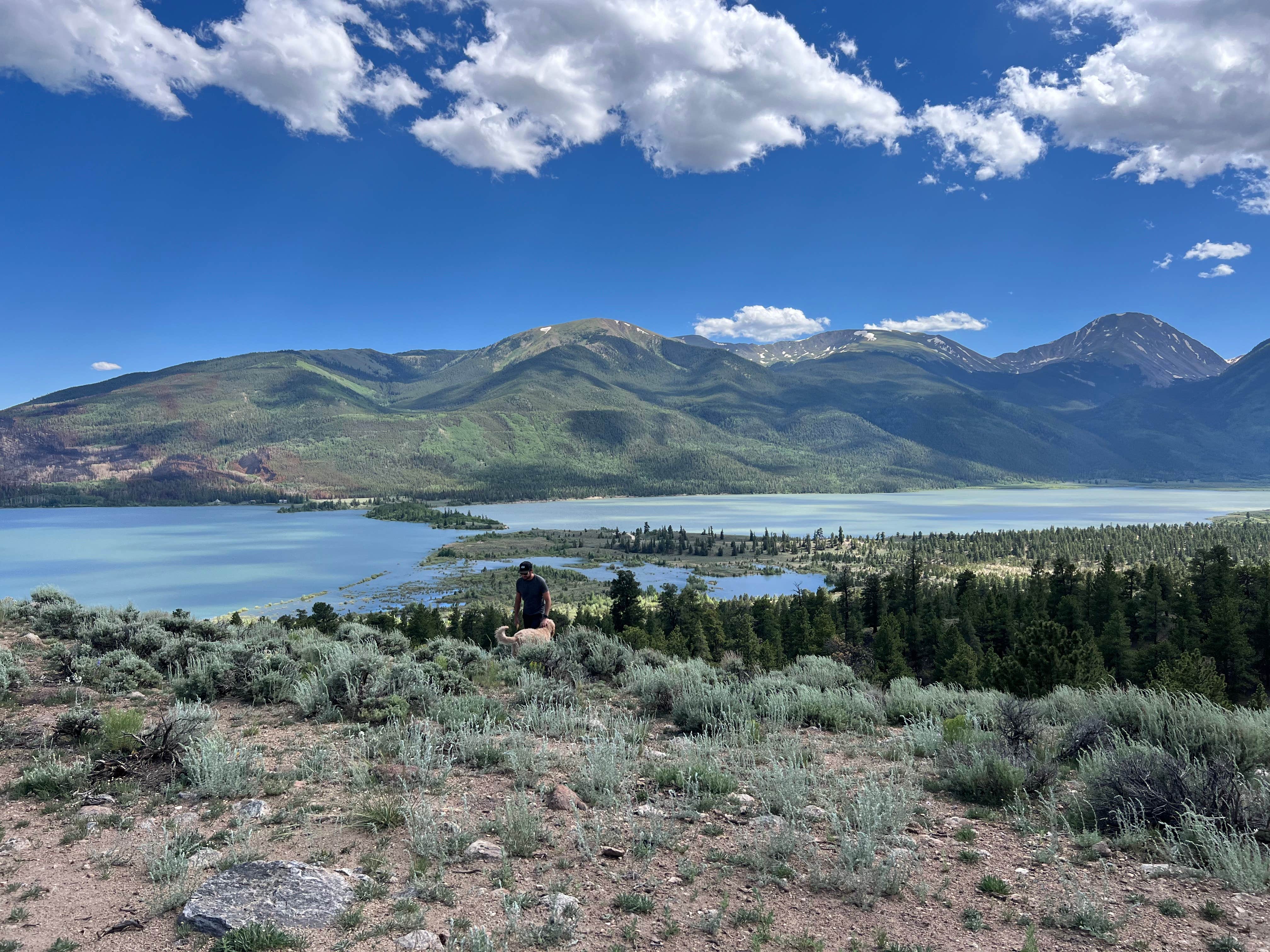 Cassandra C.'s photo of camping with pets at Twin Lakes View Dispersed near Leadville, CO