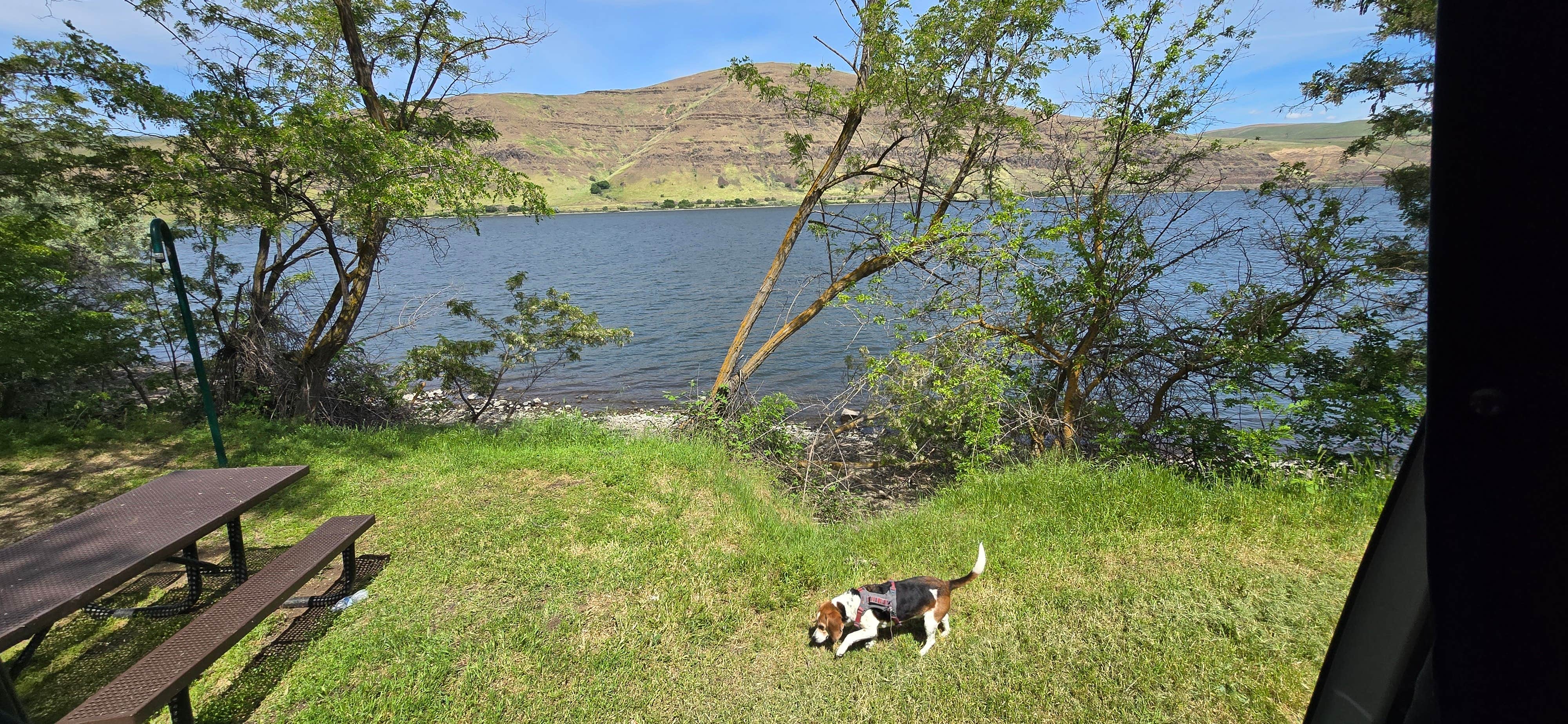 lambi creek campground