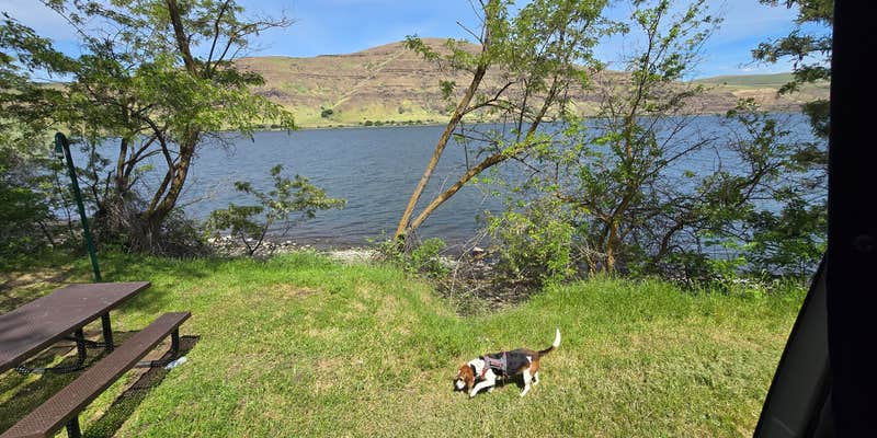 Camper submitted image from lambi creek campground