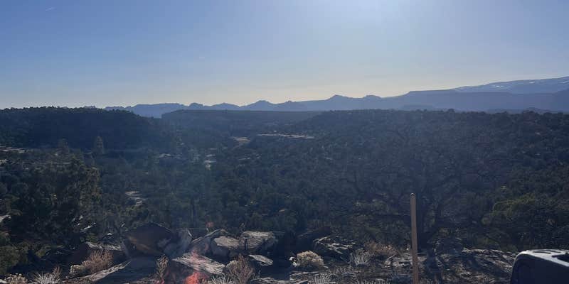 Camper submitted image from Lampstand Road Dispersed