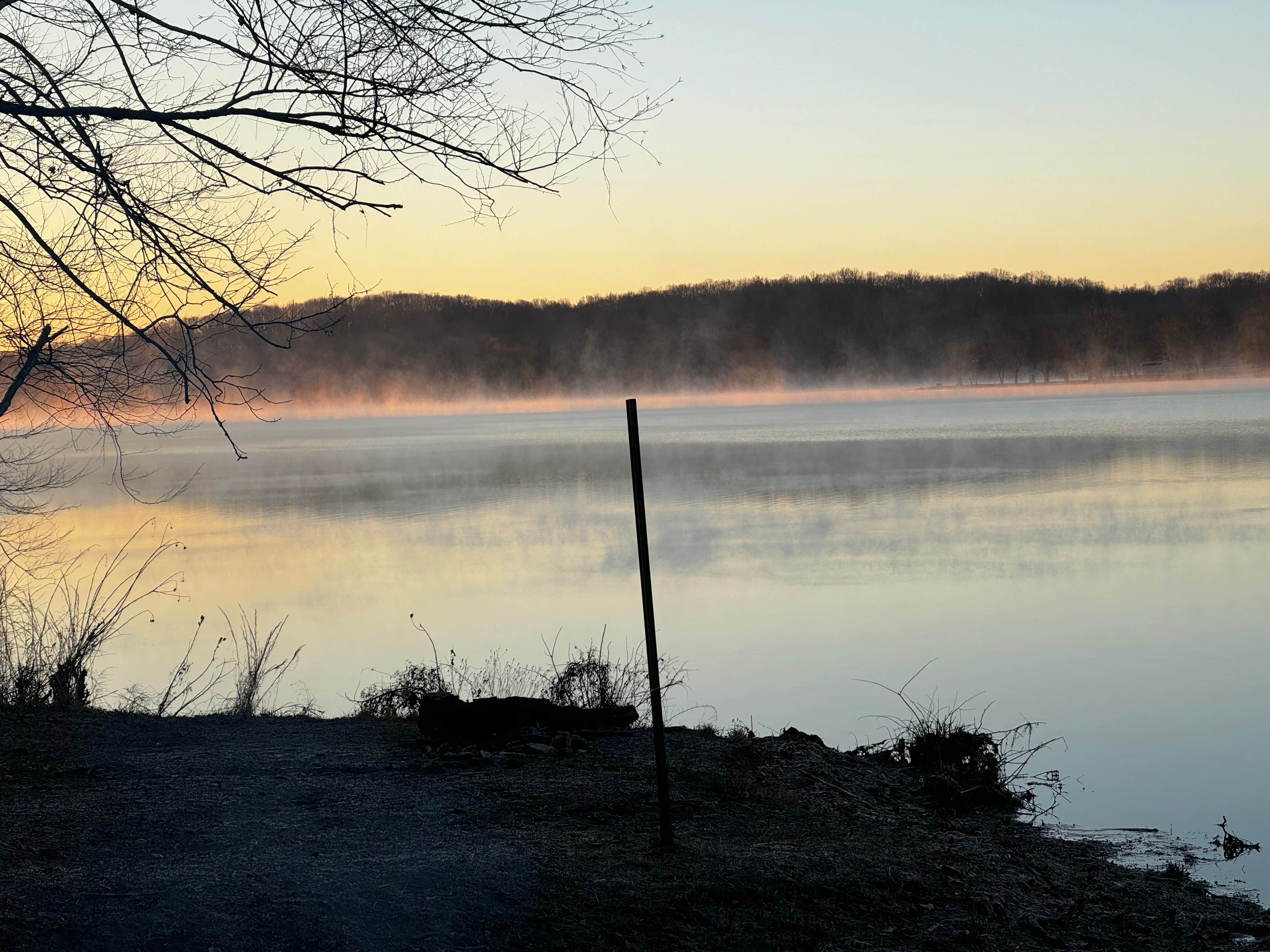 Camper submitted image from Land between The Lakes Bards Lake Tharp Road - 1