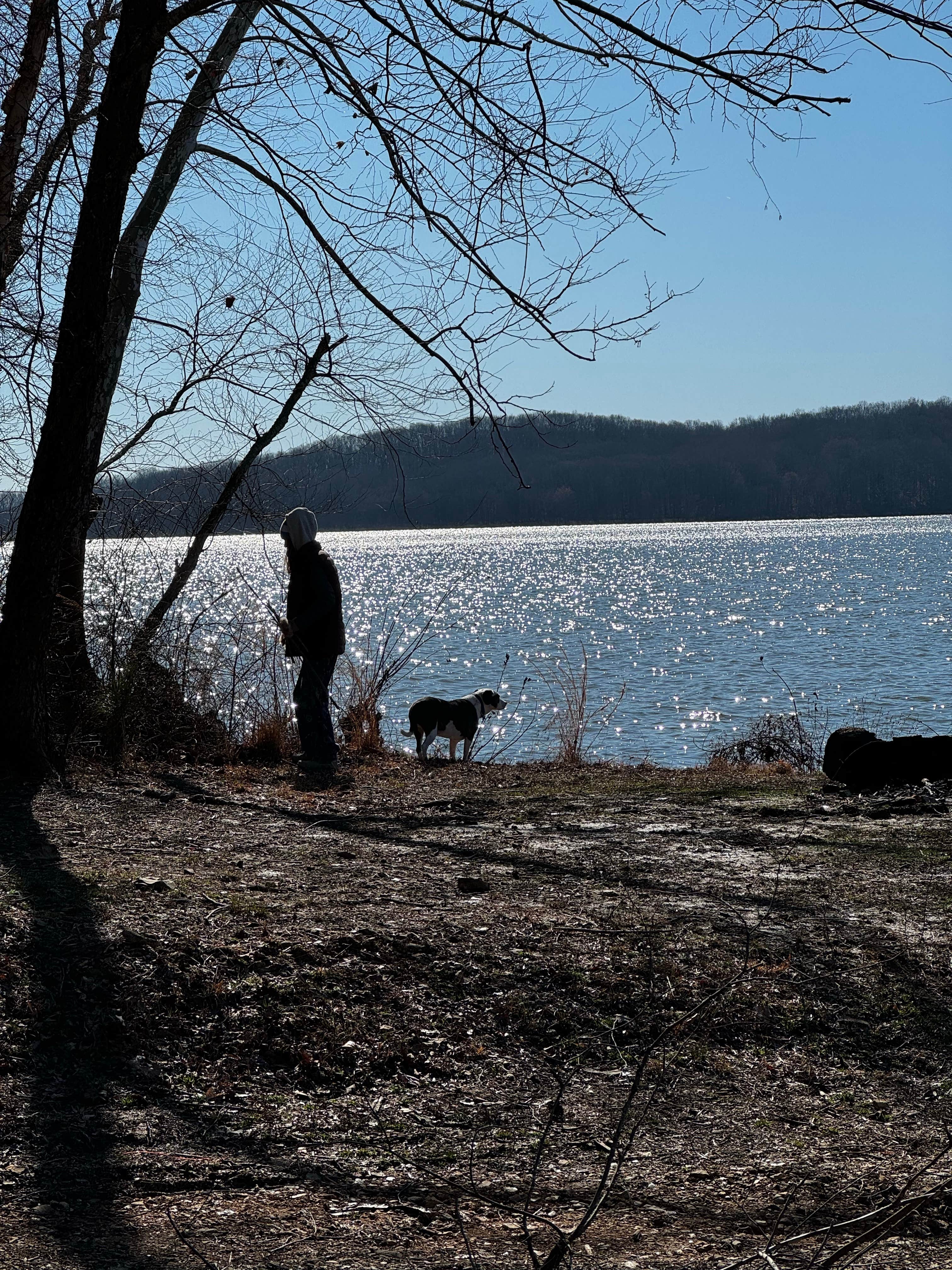 Camper submitted image from Land between The Lakes Bards Lake Tharp Road - 4