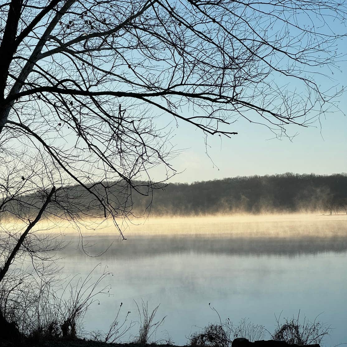 Land between The Lakes Bards Lake Tharp Road Camping | Bumpus Mills, TN