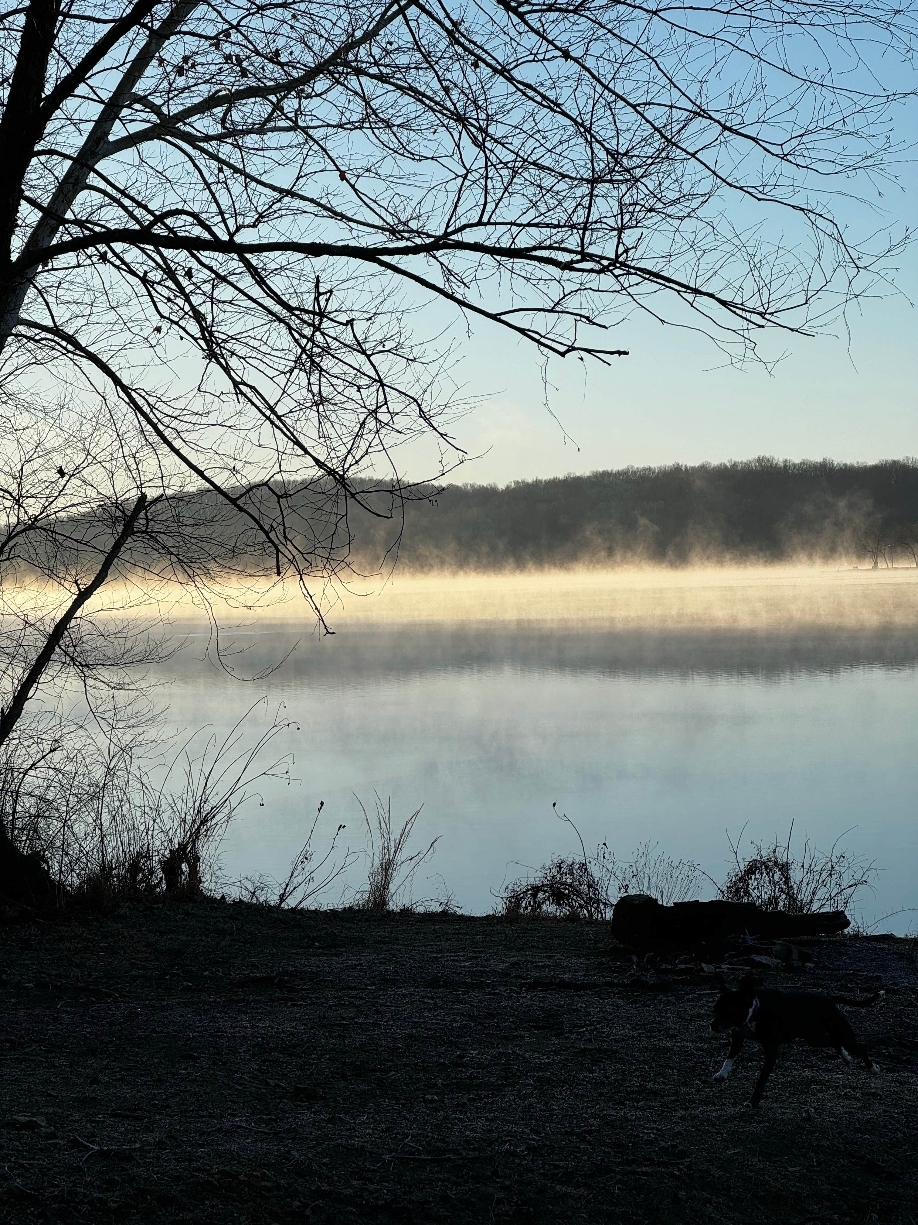 Camper submitted image from Land between The Lakes Bards Lake Tharp Road - 2