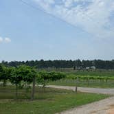 Review photo of Landry Vineyards Grape Escape RV Sites by Rob D., May 13, 2024