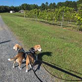 Review photo of Landry Vineyards Grape Escape RV Sites by TS M., September 29, 2025