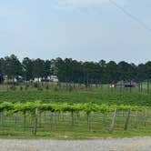 Review photo of Landry Vineyards Grape Escape RV Sites by Rob D., May 15, 2024