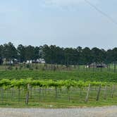 Review photo of Landry Vineyards Grape Escape RV Sites by Rob D., May 13, 2024