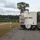 Review photo of Landry Vineyards Grape Escape RV Sites by Robert D., June 2, 2024