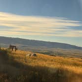 Review photo of Laramie Overlook Disperesed Camping by Megan T., September 3, 2026