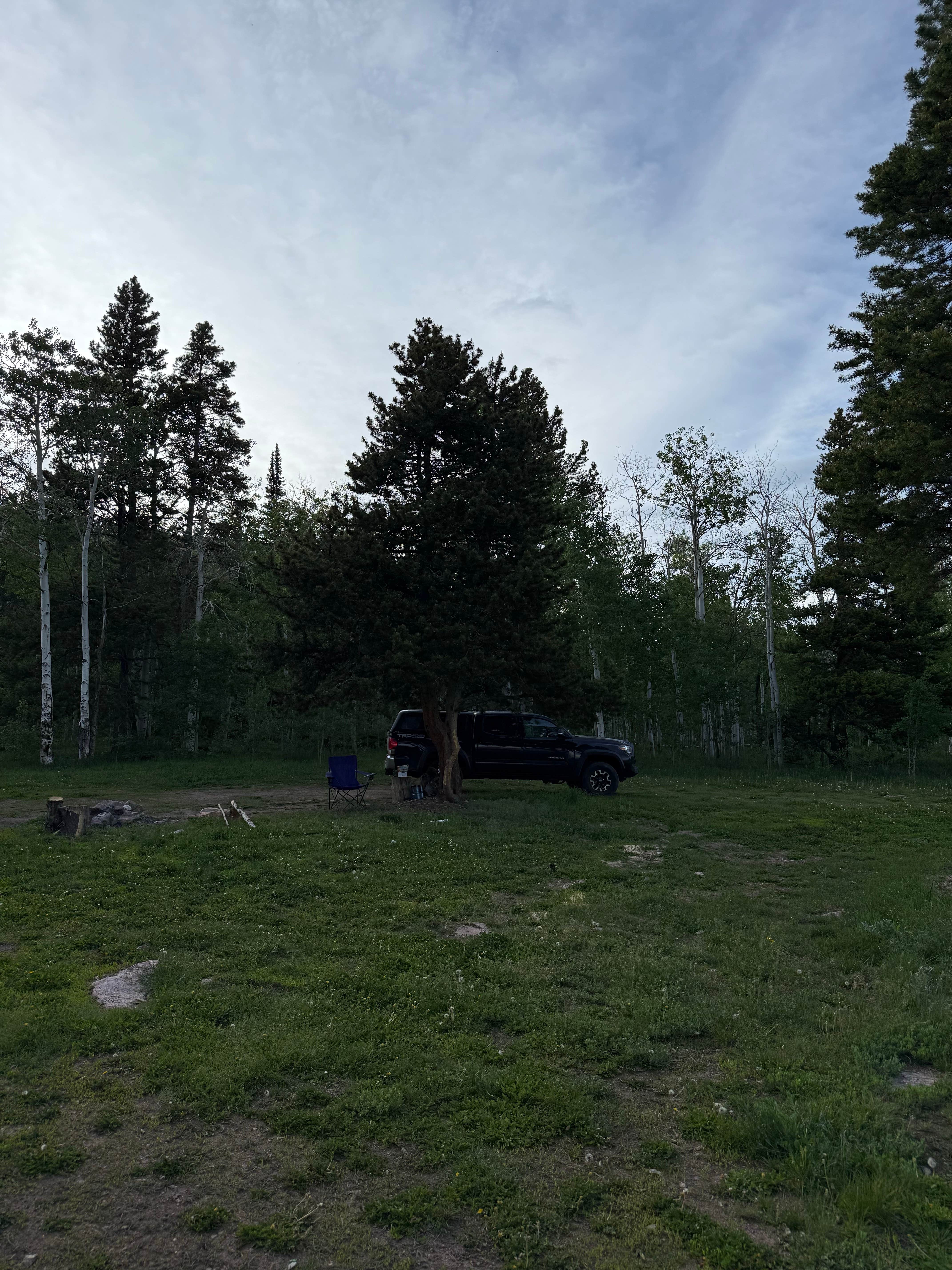 Camper submitted image from Laramie Overlook Disperesed Camping - 4