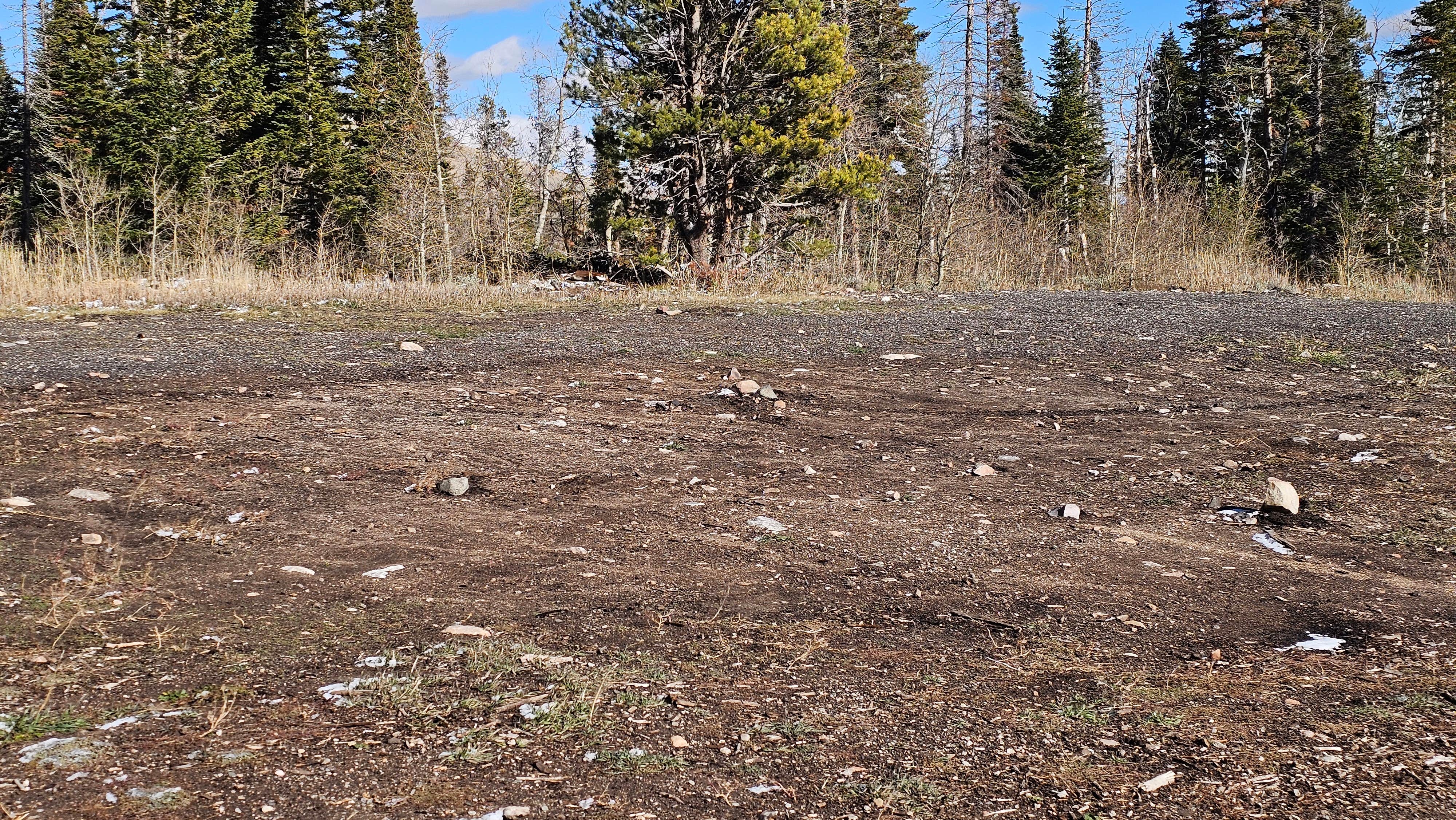Camper-submitted photo at Laramie Overlook Disperesed Camping near Jelm, WY