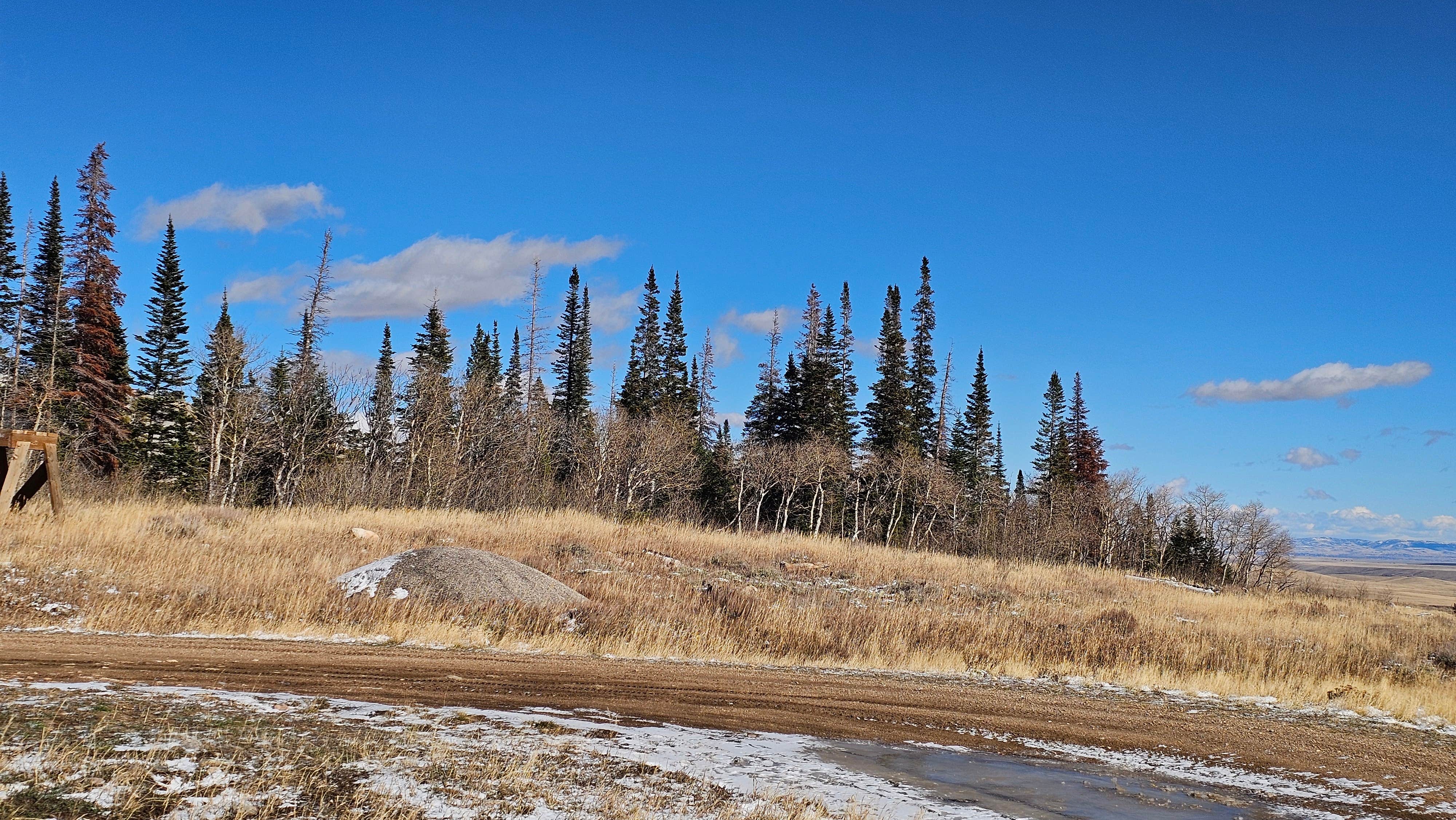 Camper-submitted photo at Laramie Overlook Disperesed Camping near Jelm, WY