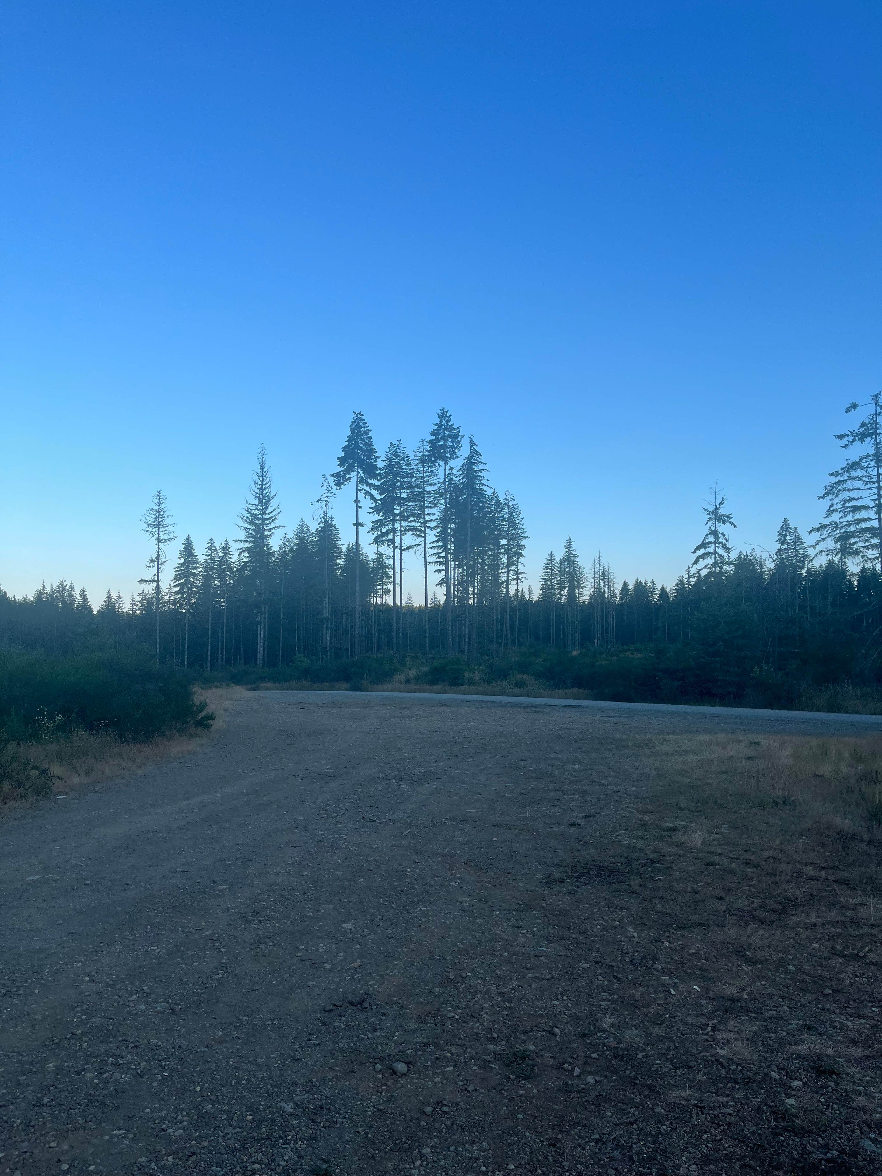 Camper-submitted photo at Large Pull Out (Dispersed) on FR 24 near Bremerton, WA