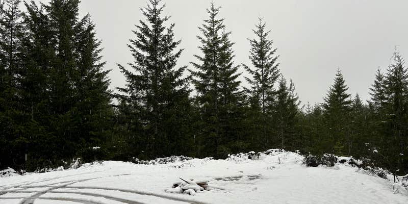 Camper submitted image from Large Pull Out (Dispersed) on FR 24