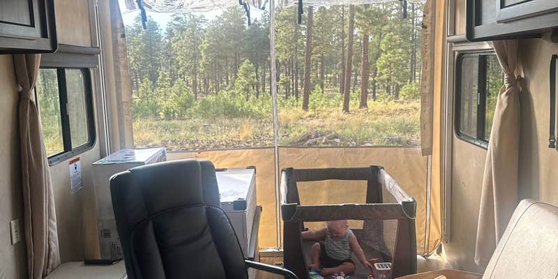 Camper submitted image from larson ridge dispersed camping