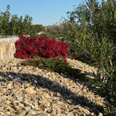 Review photo of Las Cruces KOA by Katey B., November 7, 2025