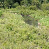 Review photo of La Salle Lake State Recreation Area Campground by Joy R., June 26, 2026
