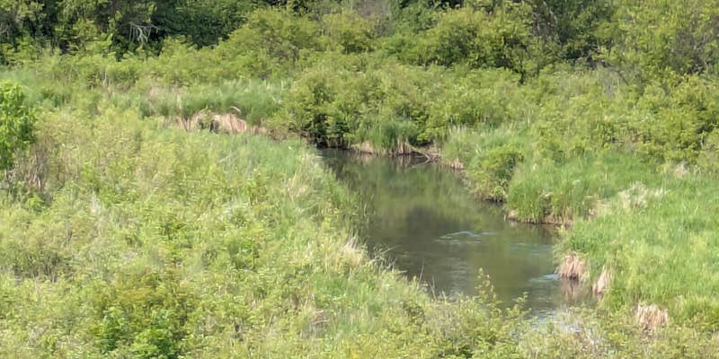 Camper submitted image from La Salle Lake State Recreation Area Campground
