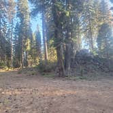 Review photo of Lassen NF Forest Rte 32N17 by Jerry N., September 17, 2026