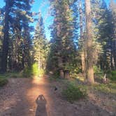Review photo of Lassen NF Forest Rte 32N17 by Jerry N., September 17, 2026
