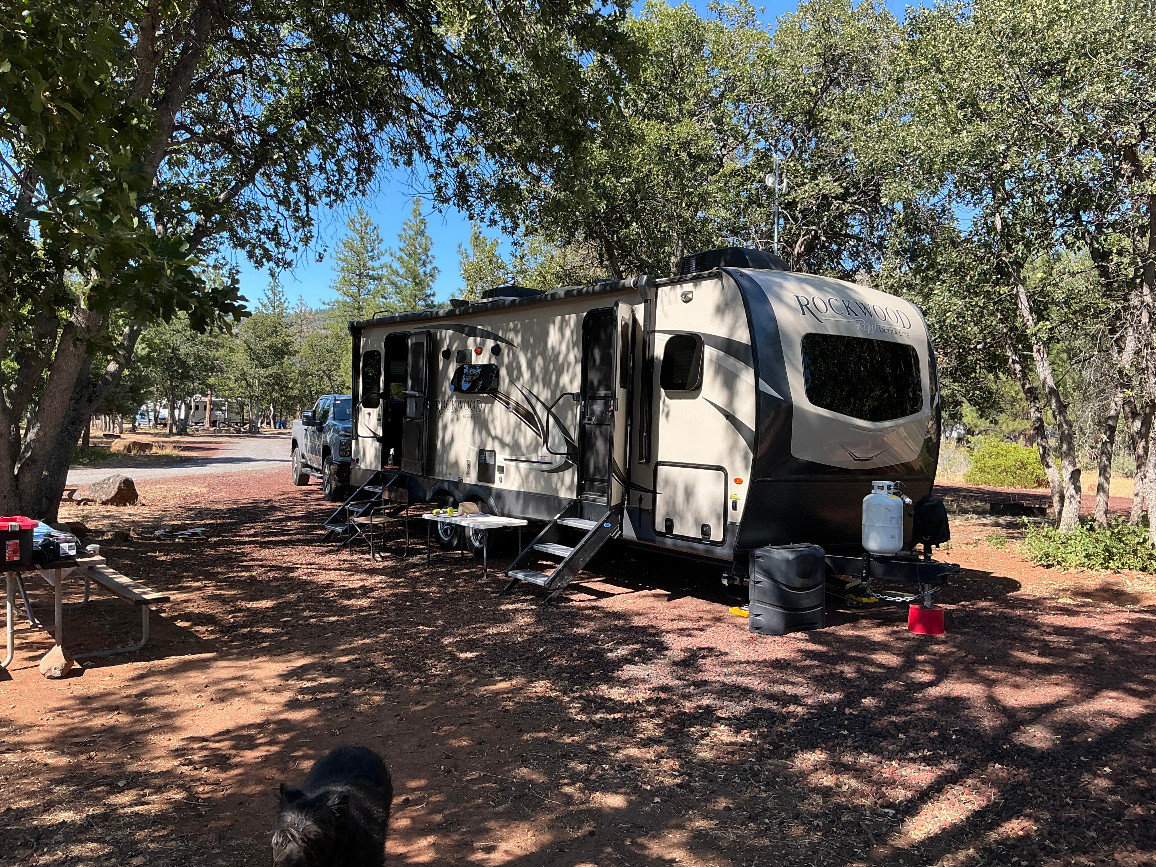 Virginia G.'s photo of camping with pets at Lassen RV Park Campground near Hat Creek, CA