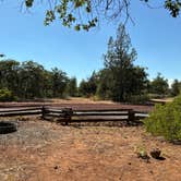 Review photo of Lassen RV Park Campground by Virginia G., August 3, 2025