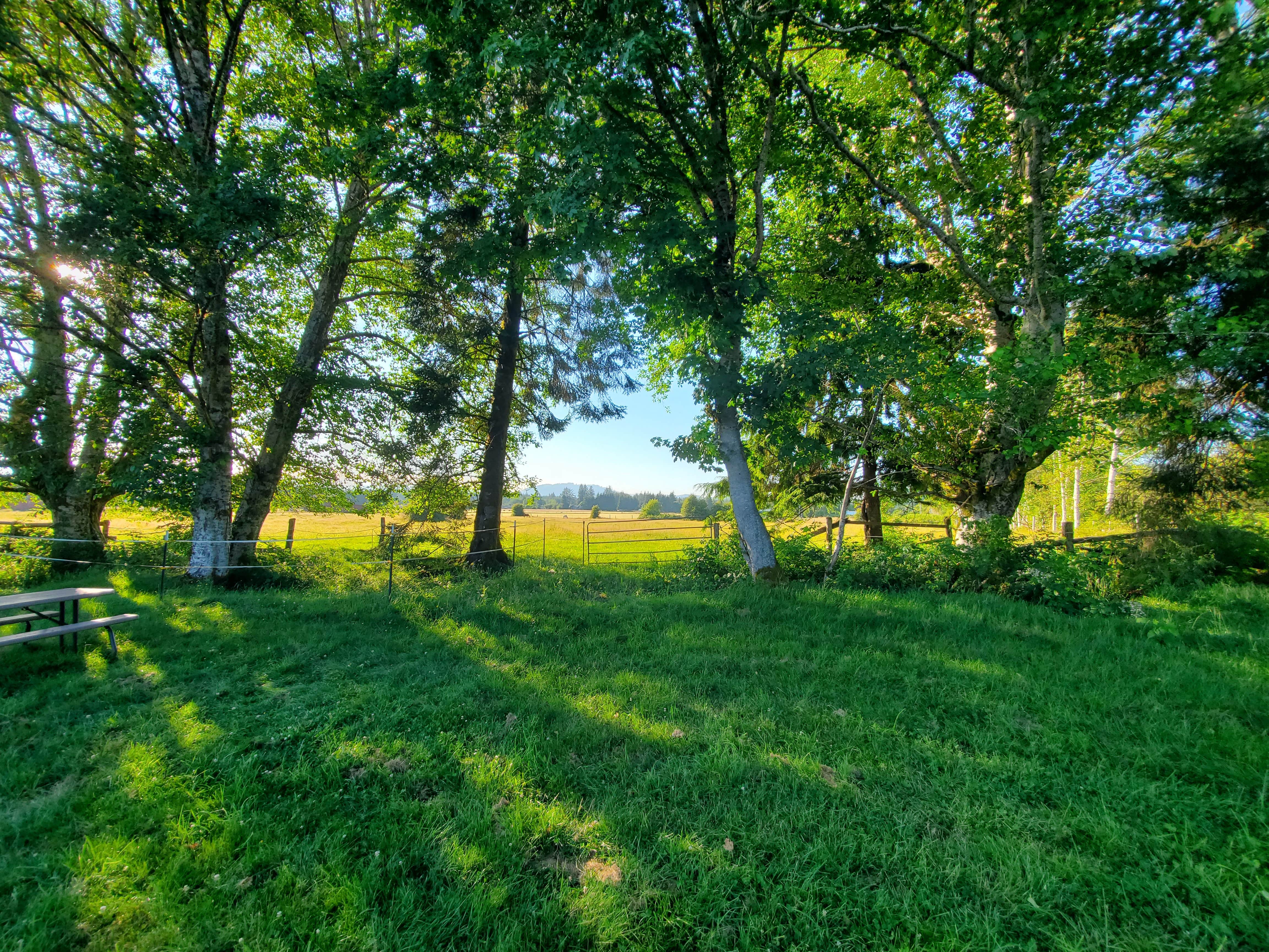 Camping near Misty Willows Farm and Camp: Last Chance Camp Equine and Rest Stop, Forks, Washington