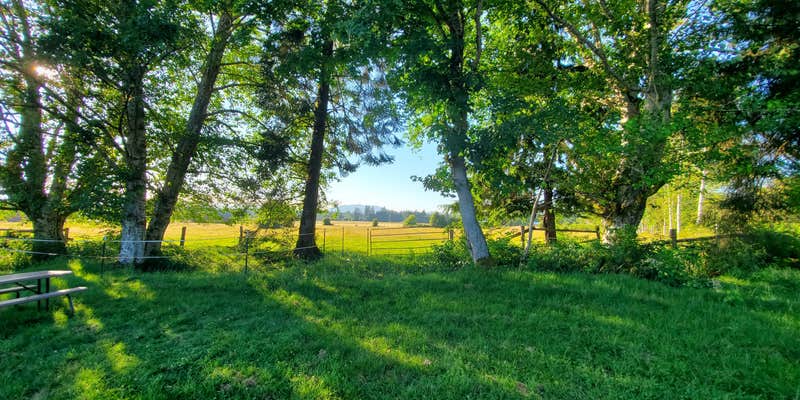 Camper submitted image from Last Chance Camp Equine and Rest Stop