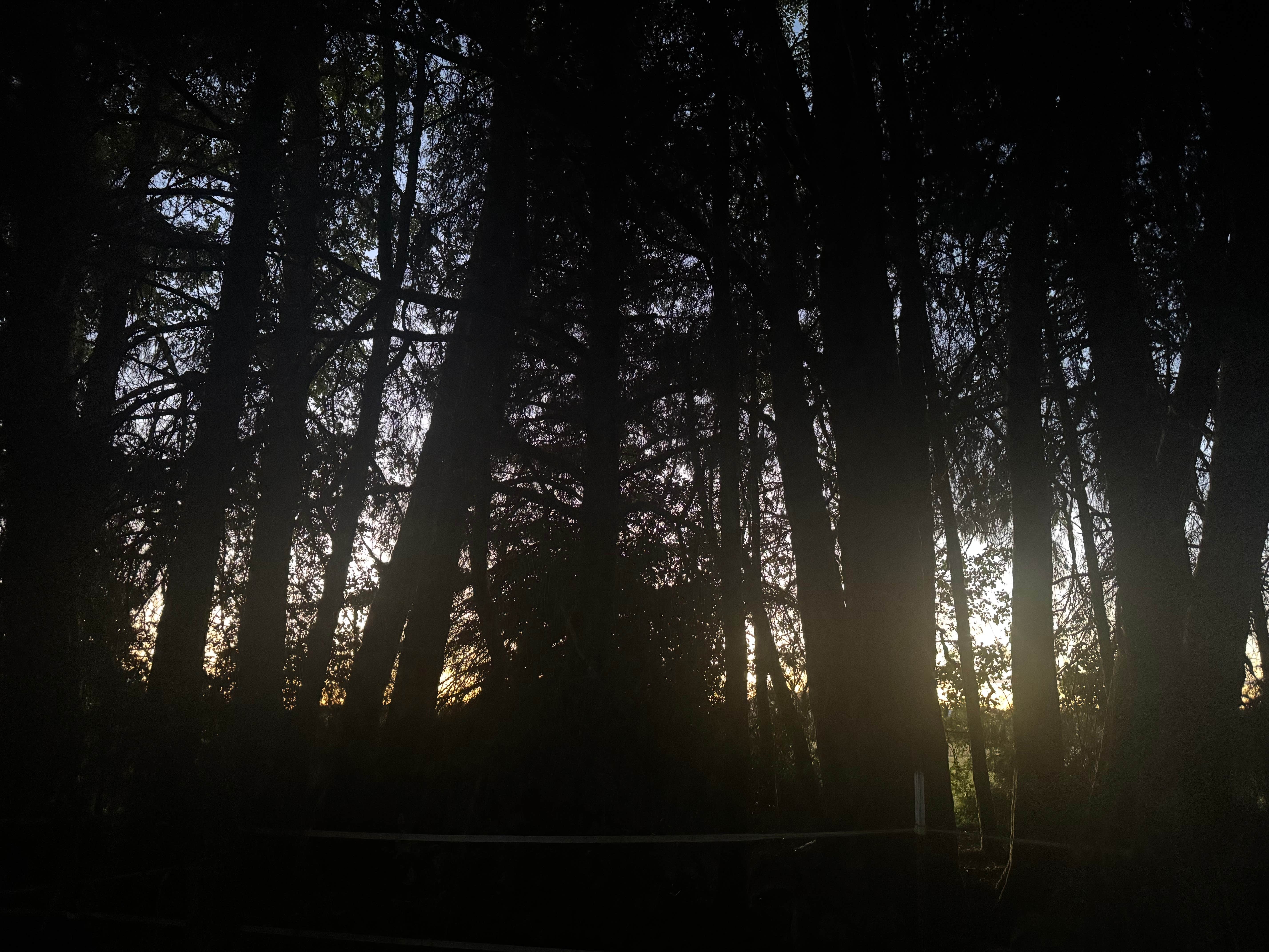 Camper-submitted photo at Last Chance Camp Equine and Rest Stop near Neah Bay, WA