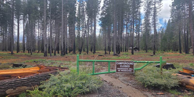 Camper submitted image from PG&E Lake Almanor Area Last Chance Creek Campground