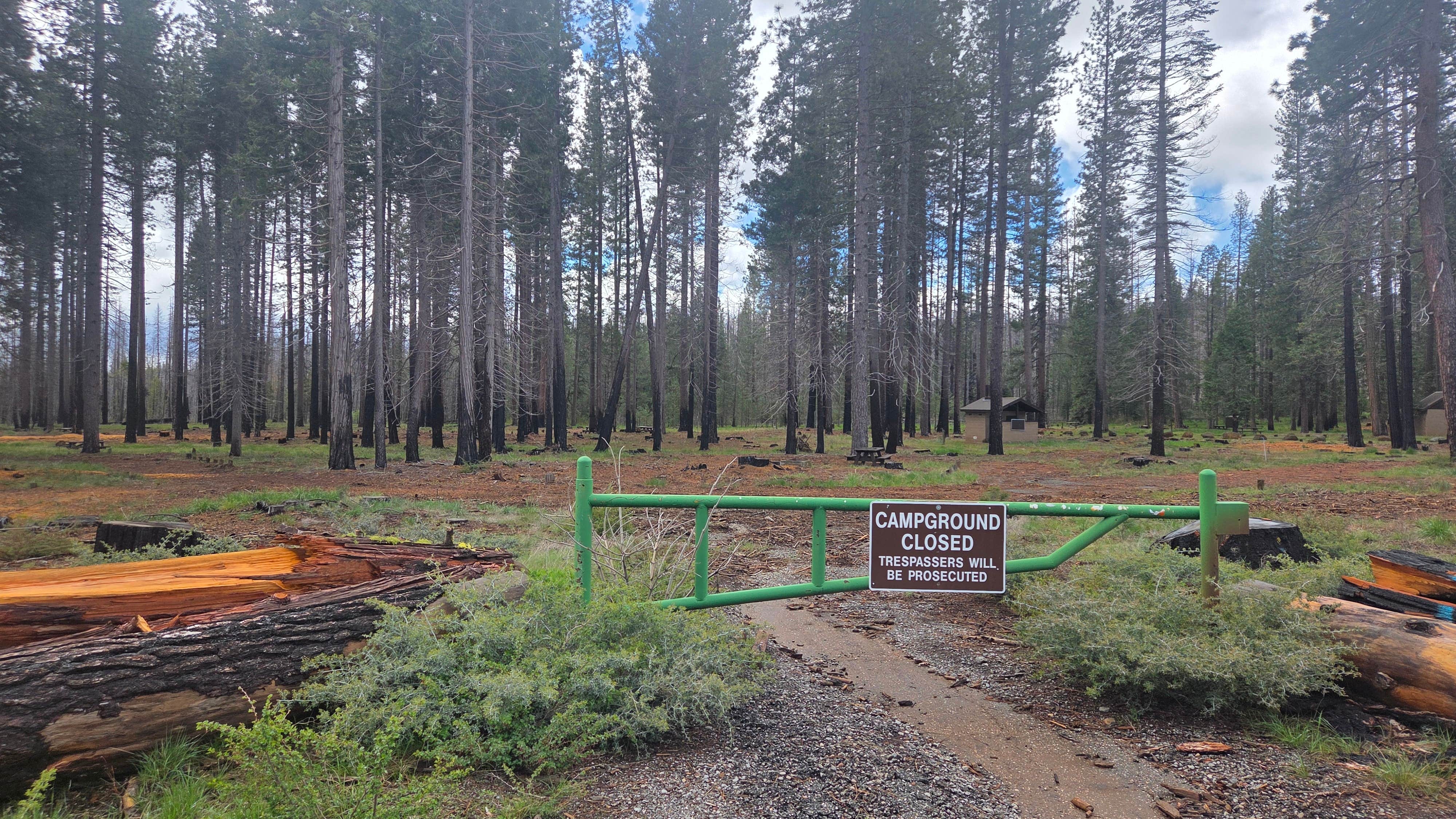 Camper-submitted photo at PG&E Lake Almanor Area Last Chance Creek Campground near Chester, CA