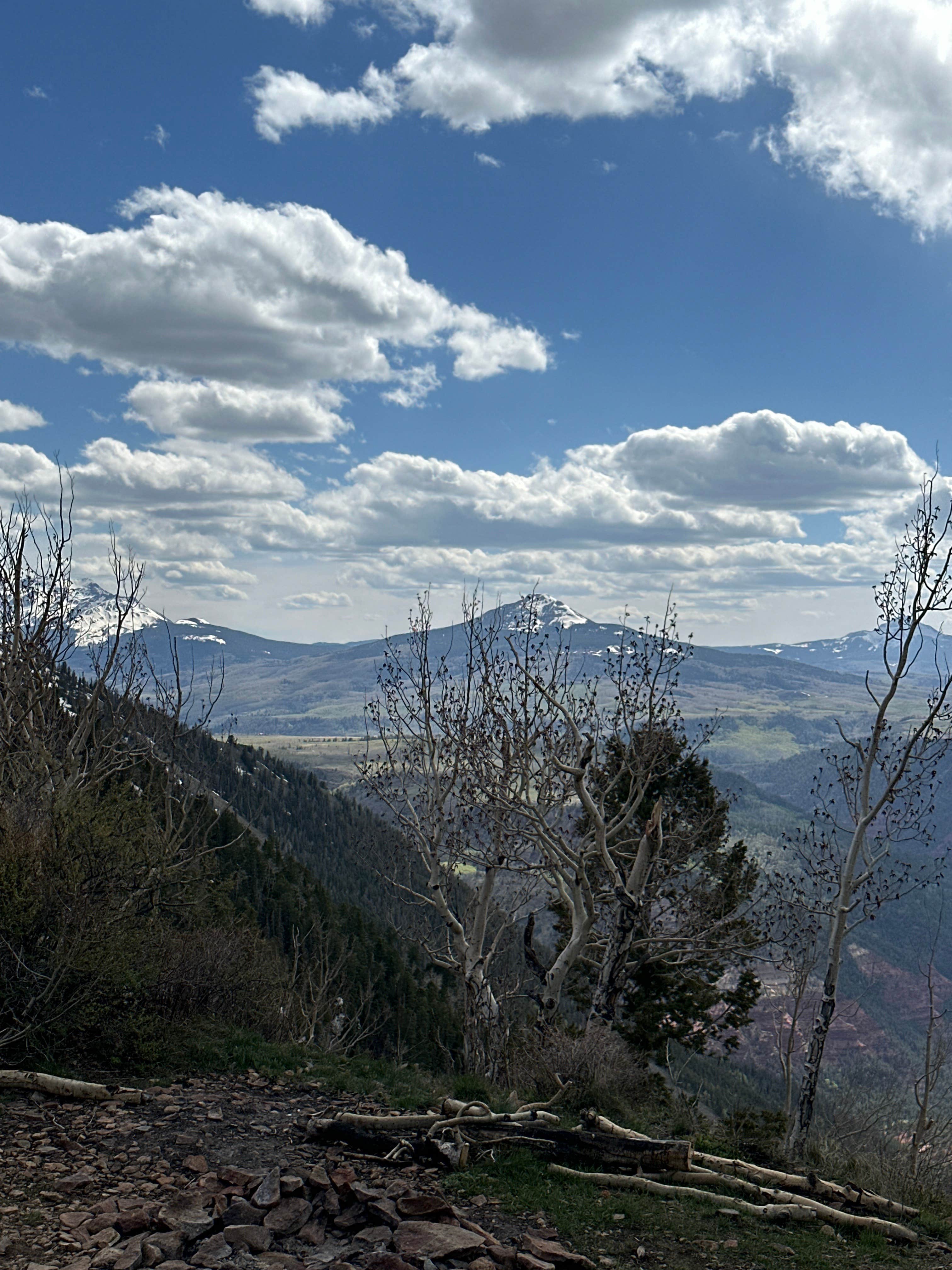 Martina L.'s photo of a dispersed camping area at Last Dollar Road near Norwood, CO