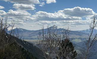 Martina L.'s photo of a dispersed camping area at Last Dollar Road near Ridgway, CO