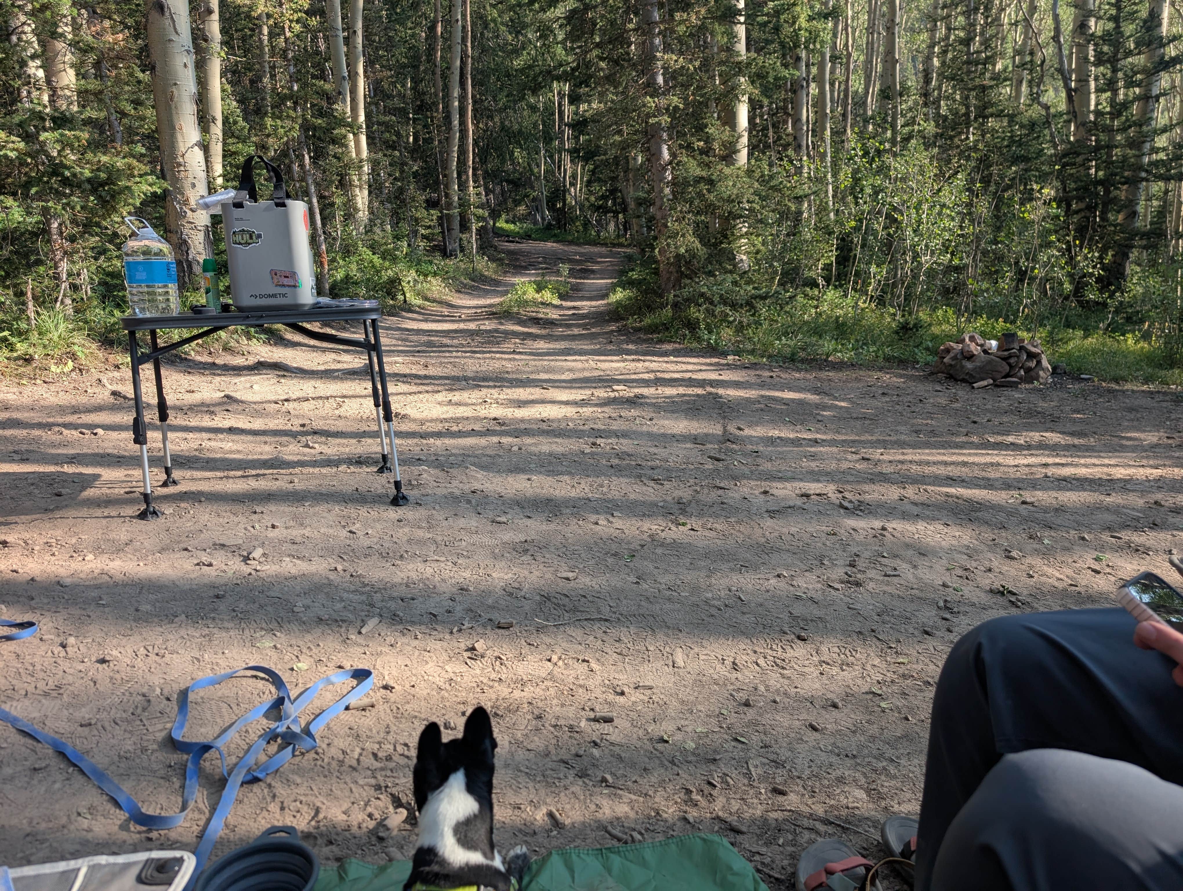 Camper-submitted photo at Last Dollar Road - Heavily Wooded Dispersed Site near Ridgway, CO