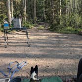 Review photo of Last Dollar Road - Heavily Wooded Dispersed Site by Megan L., August 7, 2026