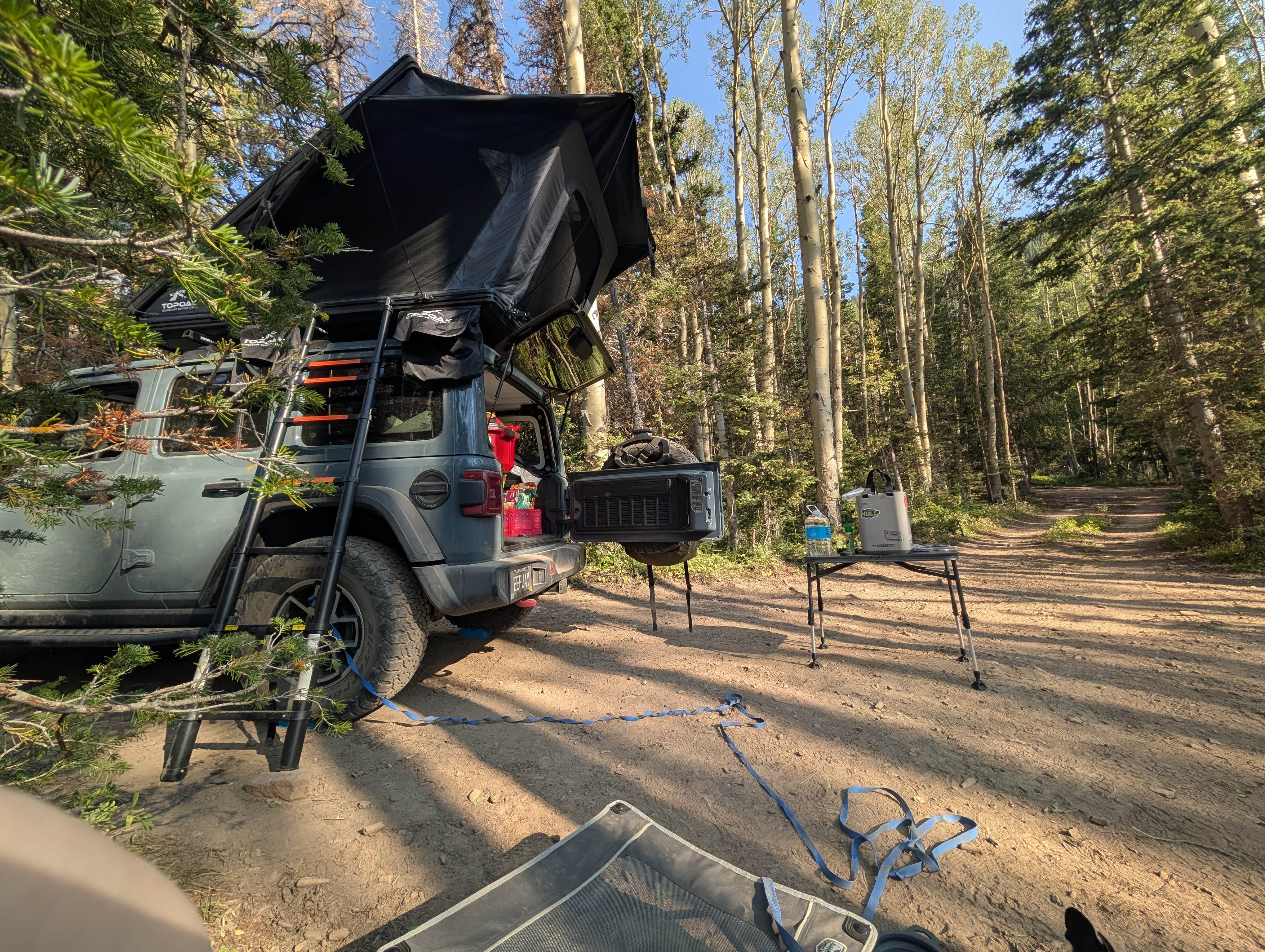 Camper-submitted photo at Last Dollar Road - Heavily Wooded Dispersed Site near Ridgway, CO