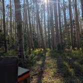 Review photo of Last Dollar Road - Heavily Wooded Dispersed Site by Megan L., August 7, 2026