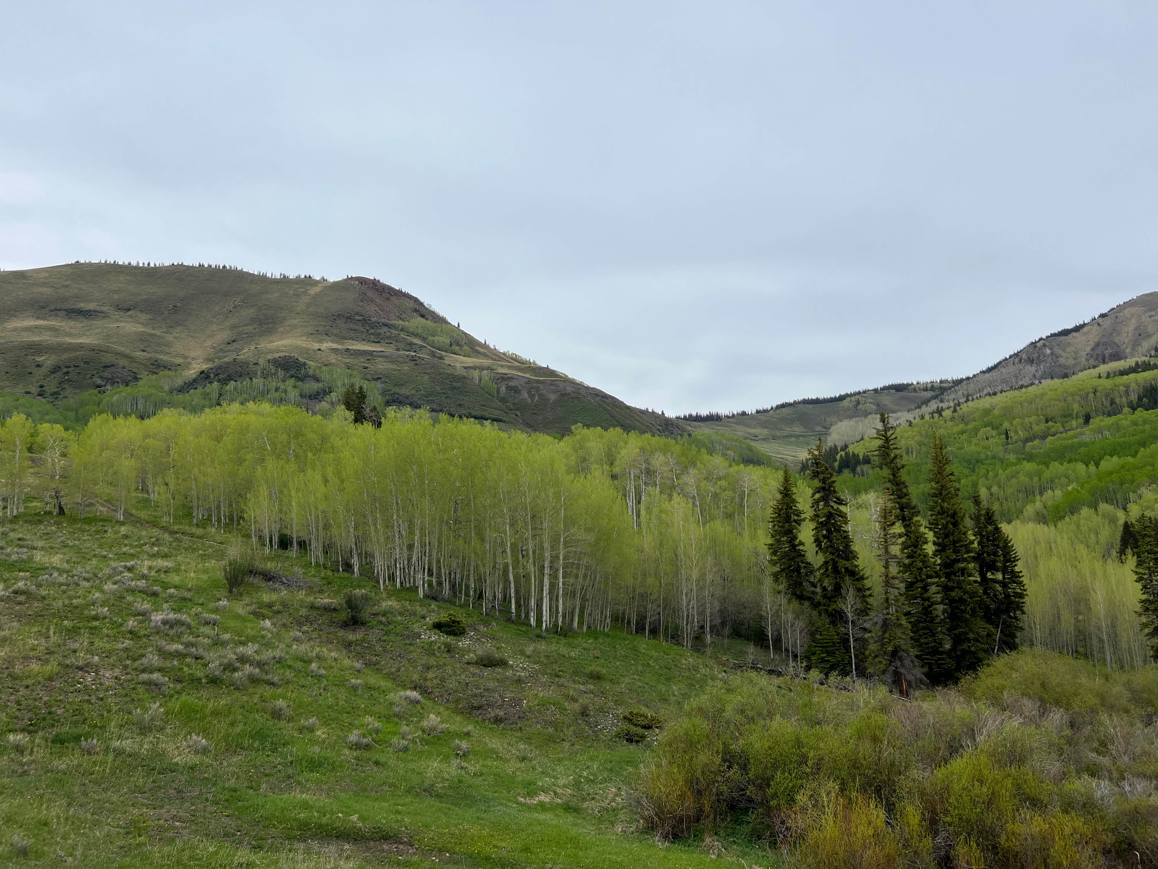 Camper-submitted photo at Last Dollar Road near Ridgway, CO