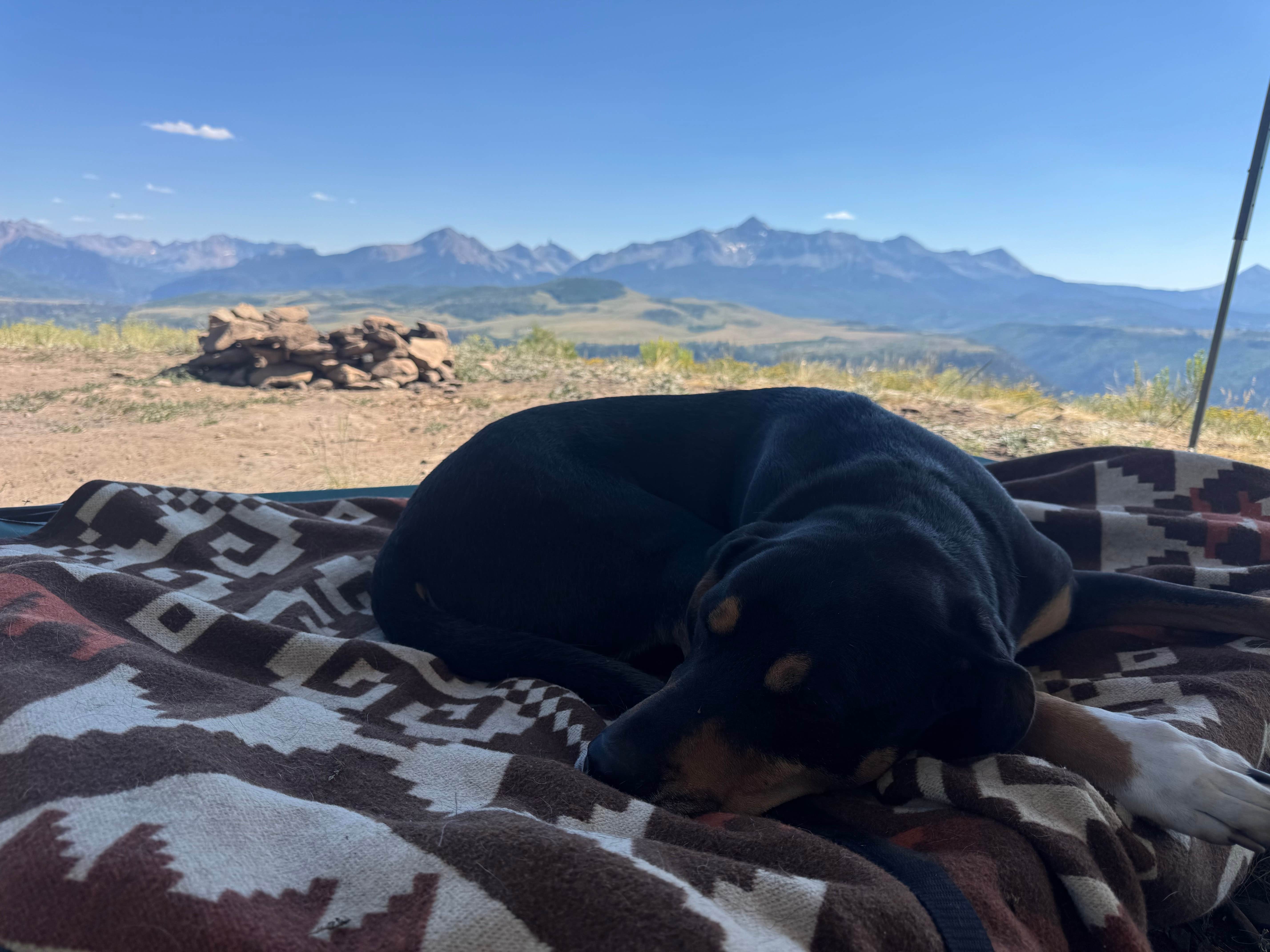 Emilie K.'s photo of camping with pets at Last Dollar Road near Ridgway, CO