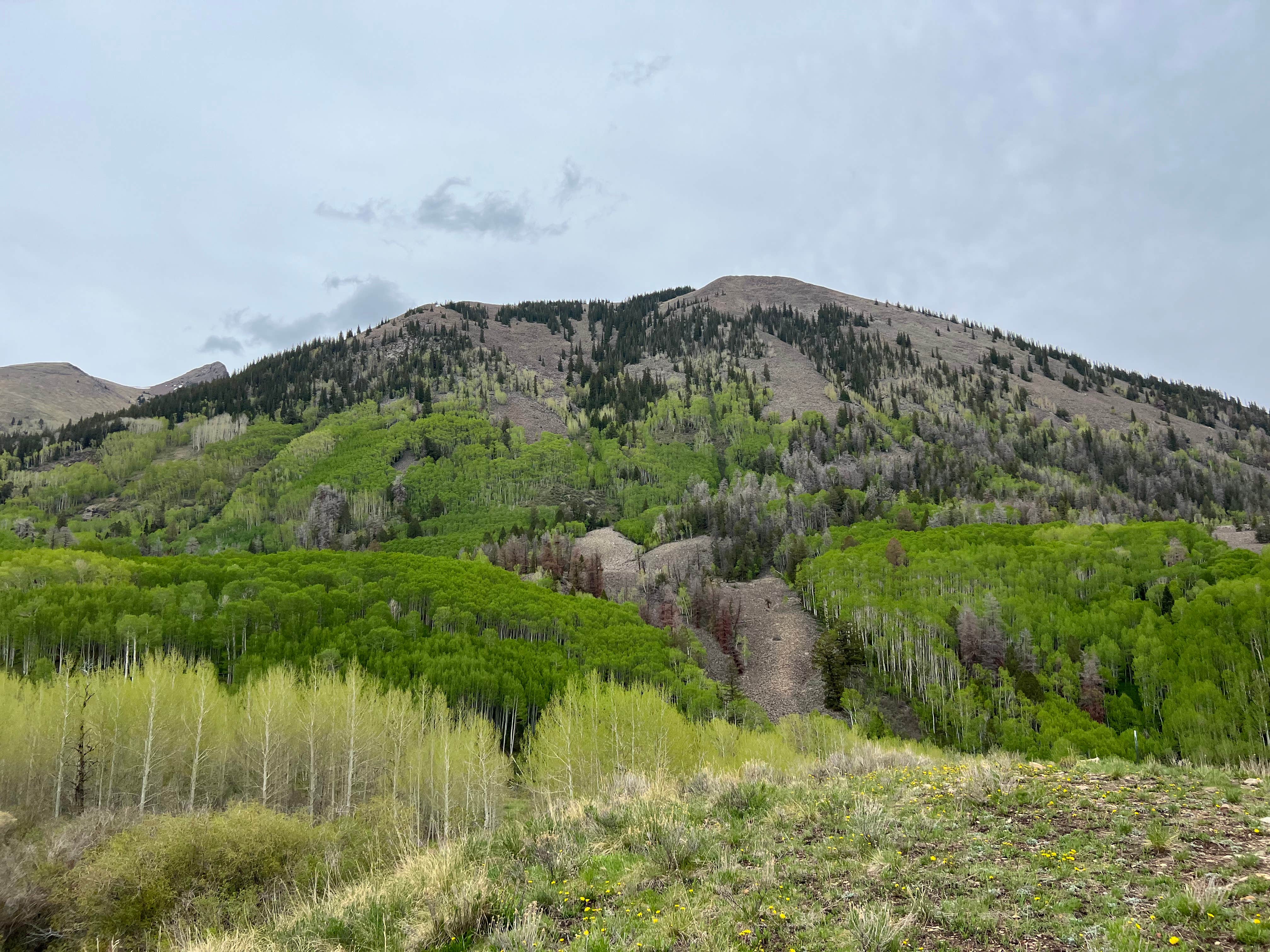 Camping near Blue Lake Dispersed Camping- CLOSED: Last Dollar Road, Placerville, Colorado