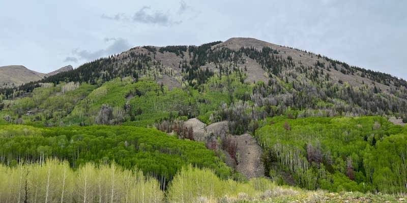 Camper submitted image from Last Dollar Road