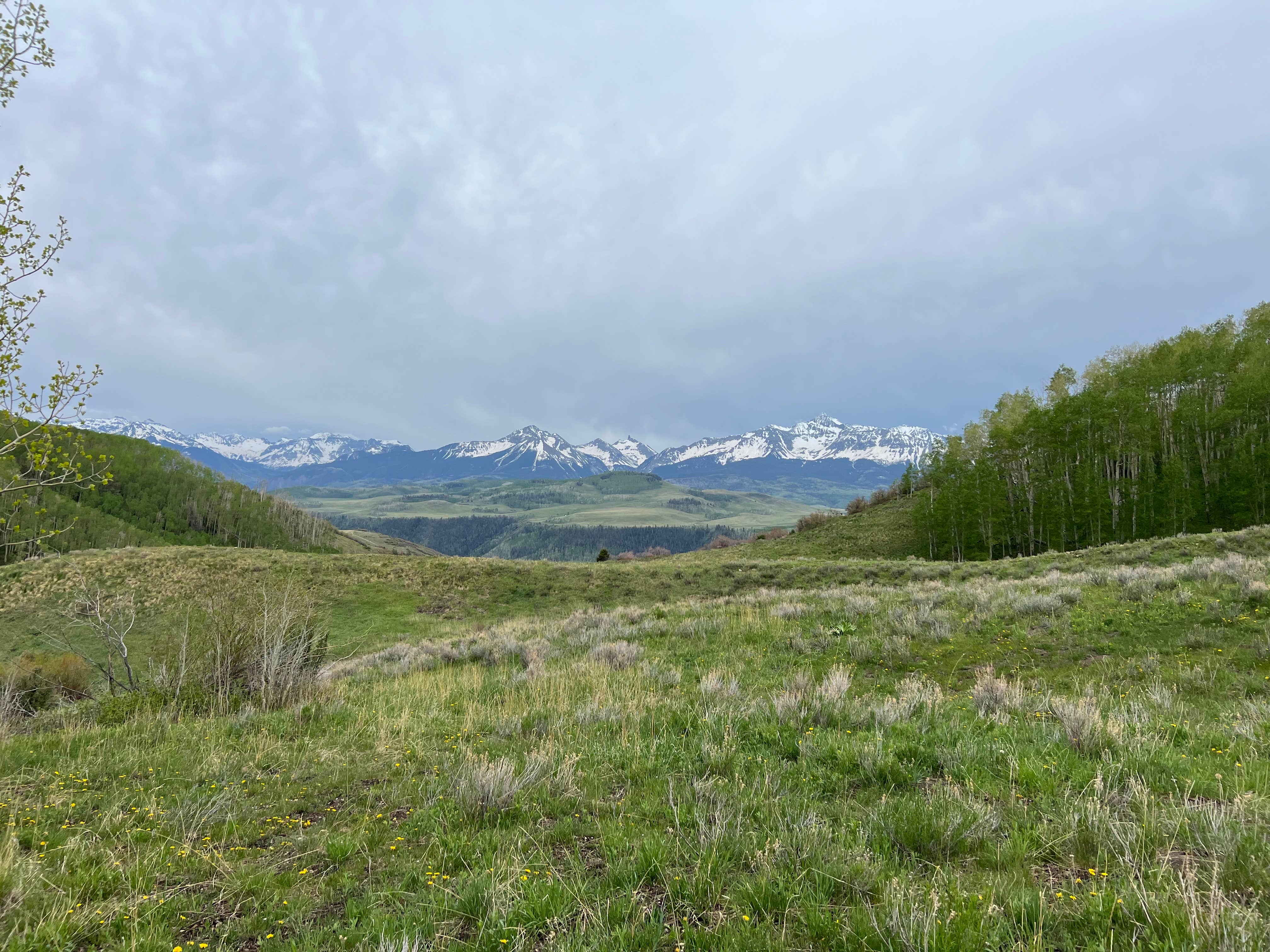 Camper-submitted photo at Last Dollar Road near Ridgway, CO
