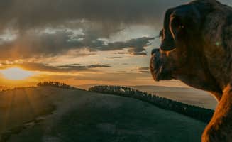 Mack Daddy Van L.'s photo of camping with pets at Last Dollar Road near Ridgway, CO