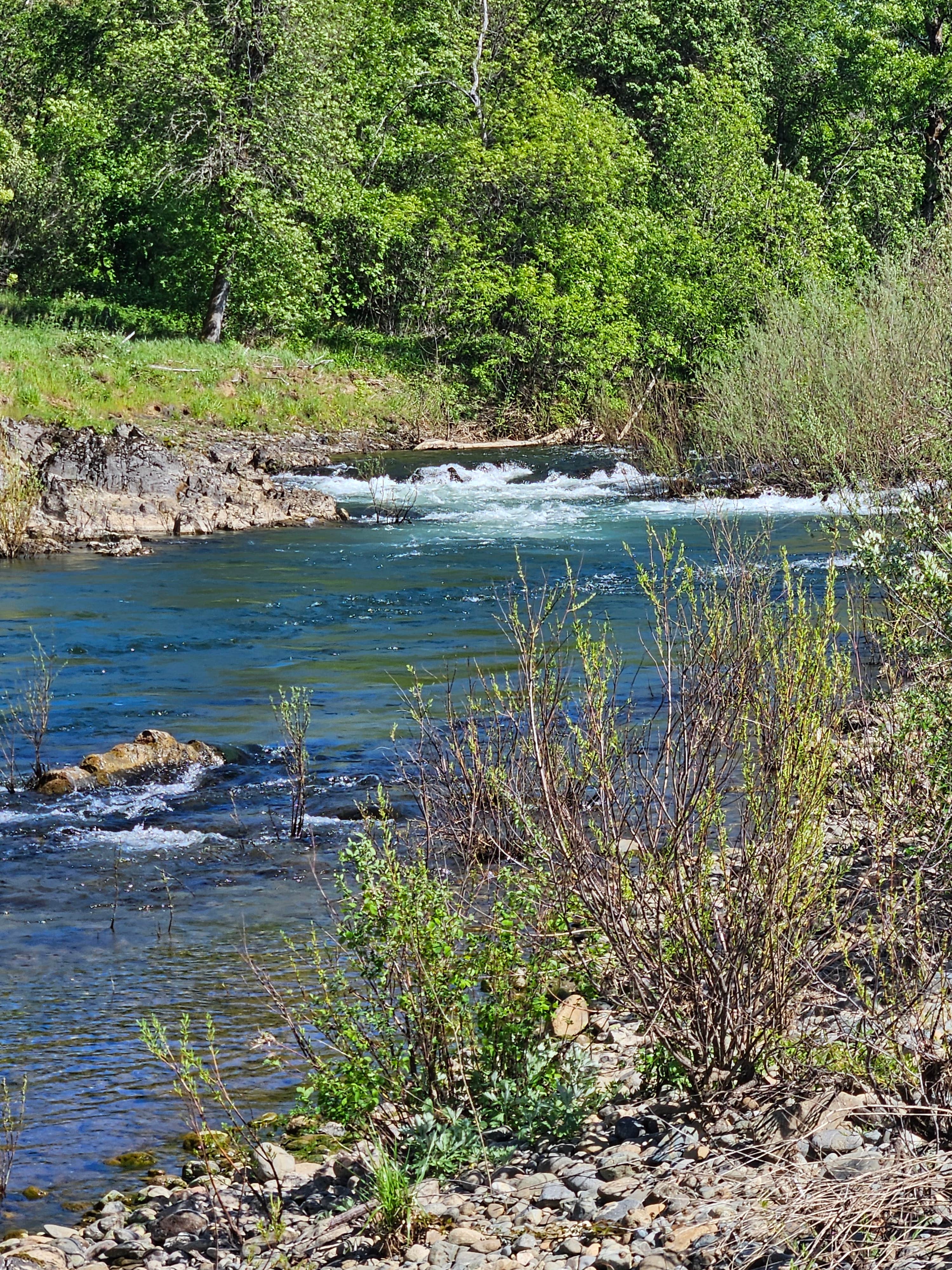Camping near Cave Creek — Oregon Caves National Monument and Preserve: Laughing Alpaca Campground, Cave Junction, Oregon