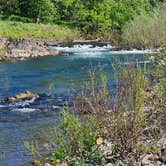 Review photo of Laughing Alpaca Campground by Lisa H., March 22, 2026