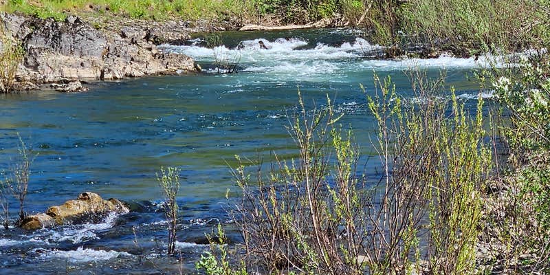 Camper submitted image from Laughing Alpaca Campground