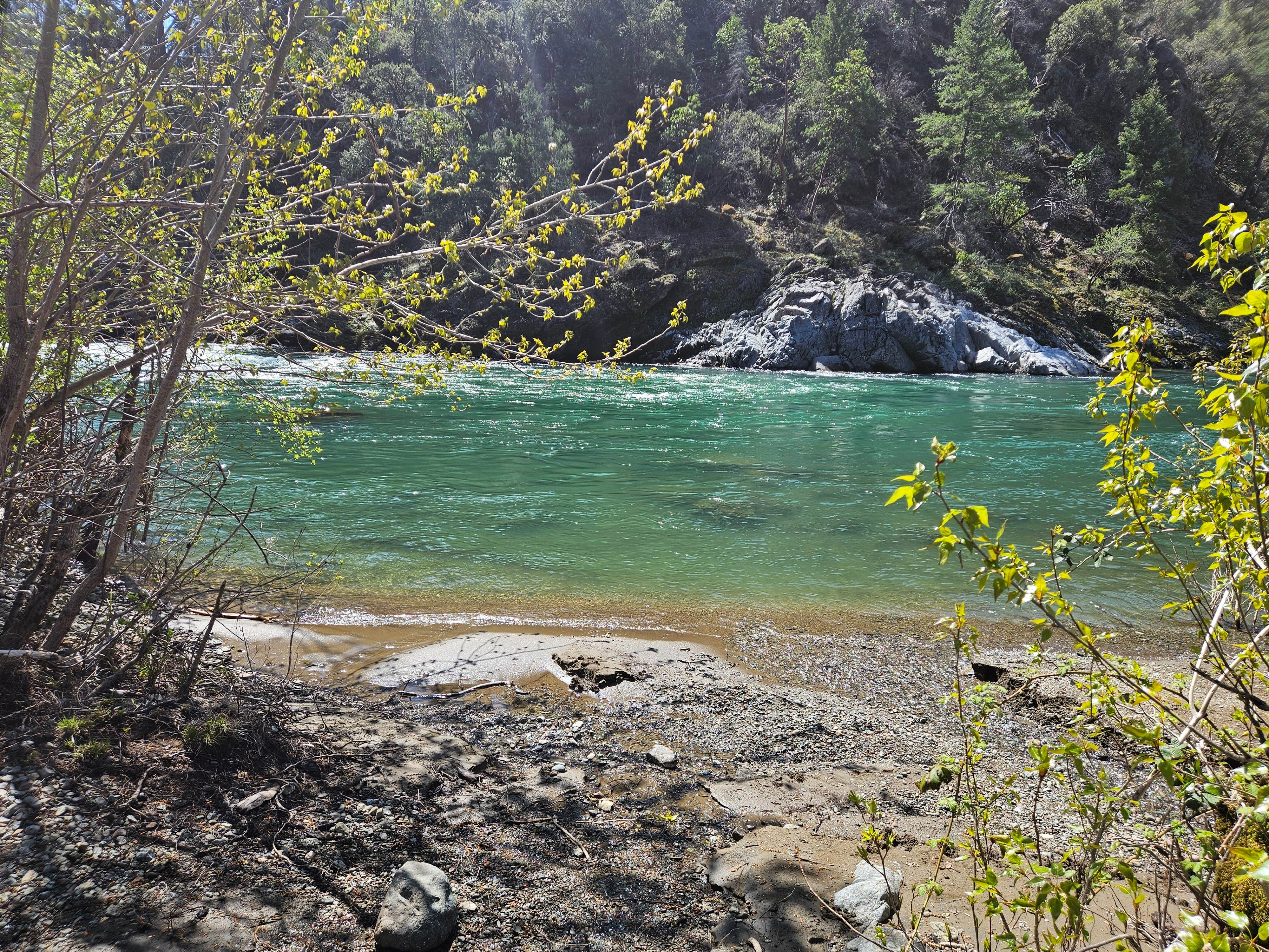 Camper-submitted photo at Laughing Alpaca Campground near Cave Junction, OR