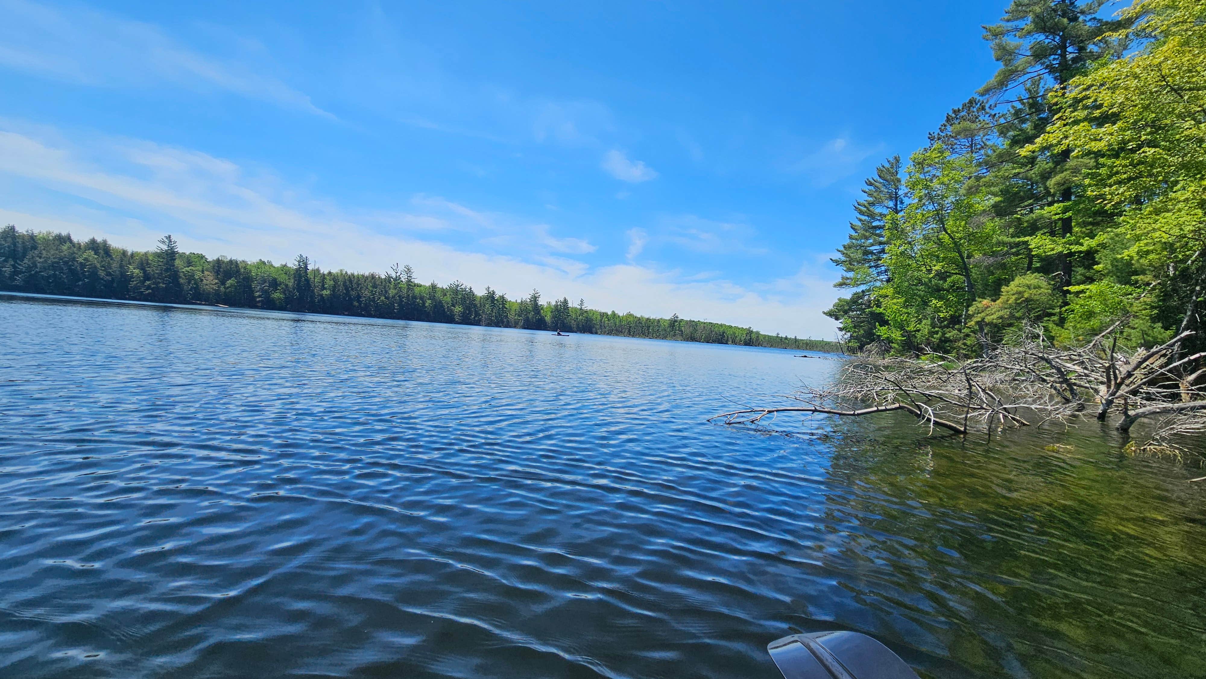 Camper-submitted photo at Laura Lake Recreation Area near Chequamegon-Nicolet National Forest